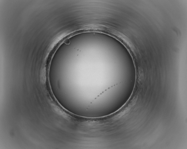 X0000110861075200906181136