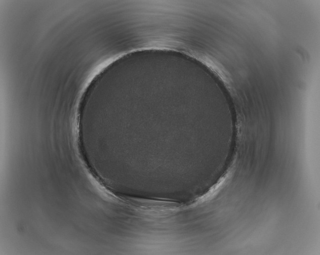 X0000110861077200906181136