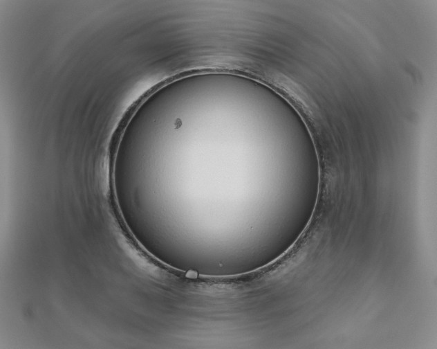 X0000110861079200906181136