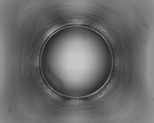 X0000110861081200906181136