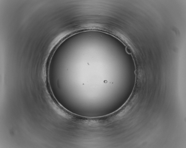 X0000110861082200906181136