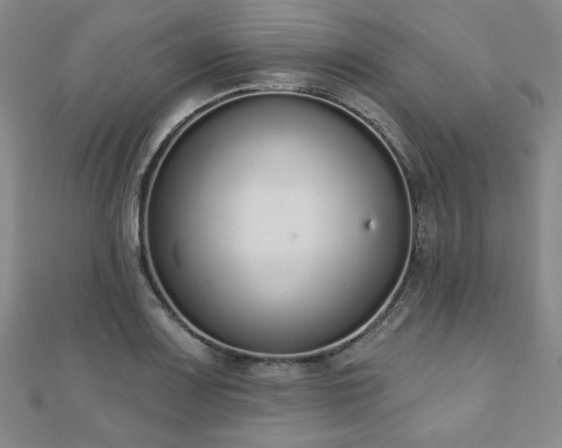 X0000110861083200906181136