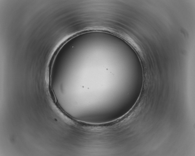 X0000110861084200906181136