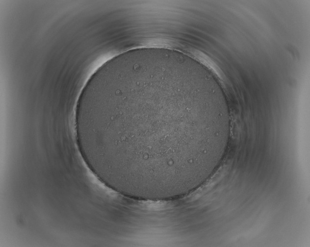 X0000110861087200906181136
