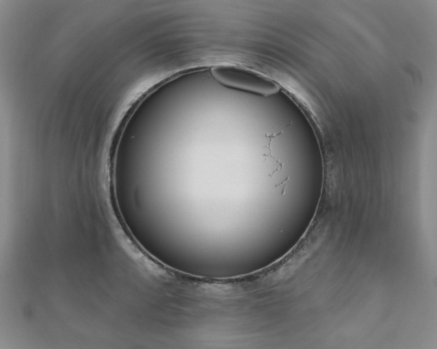 X0000110861088200906181136