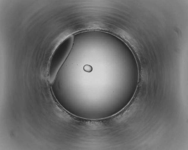 X0000110861089200906181136