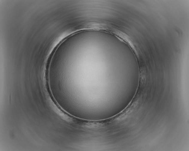 X0000110861091200906181136