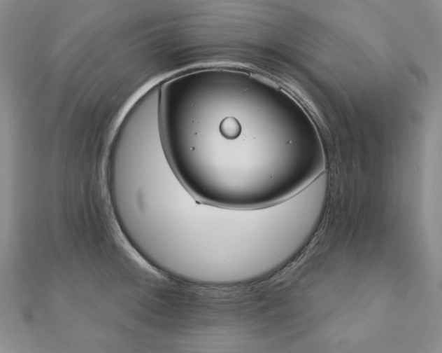X0000110861092200906181136