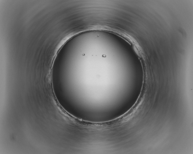 X0000110861097200906181136