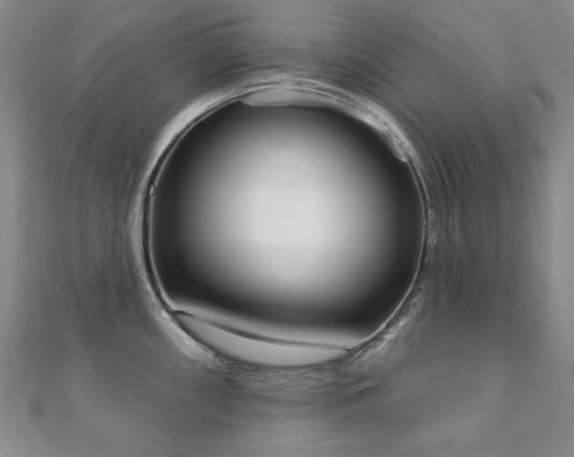 X0000110861098200906181136
