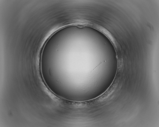 X0000110861099200906181136