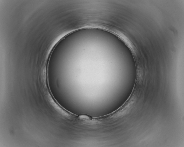 X0000110861100200906181136