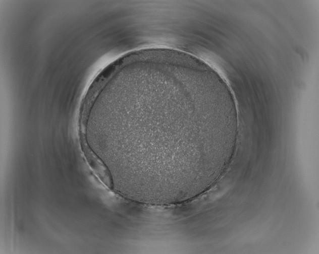 X0000110861104200906181136