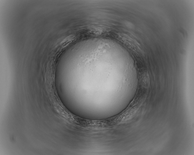 X0000110861105200906181135