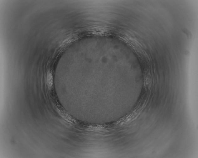X0000110861106200906181135