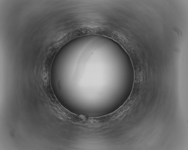 X0000110861109200906181135
