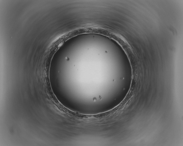 X0000110861112200906181135