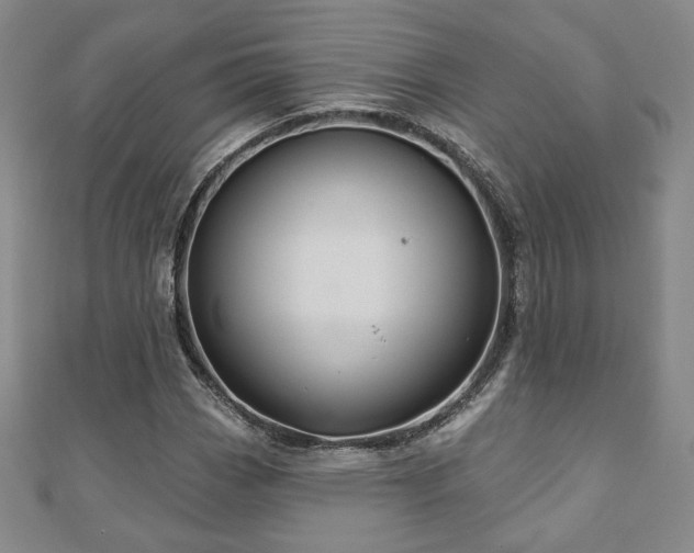X0000110861113200906181135