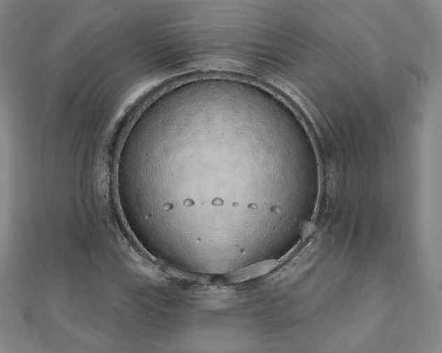 X0000110861115200906181135