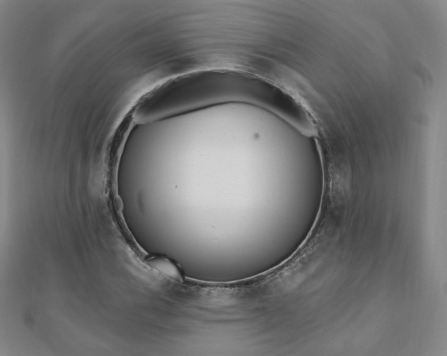 X0000110861116200906181135