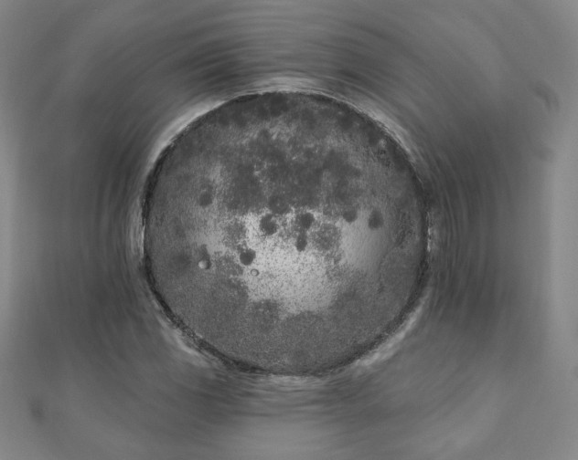 X0000110861117200906181136