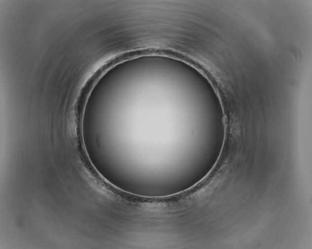 X0000110861118200906181136