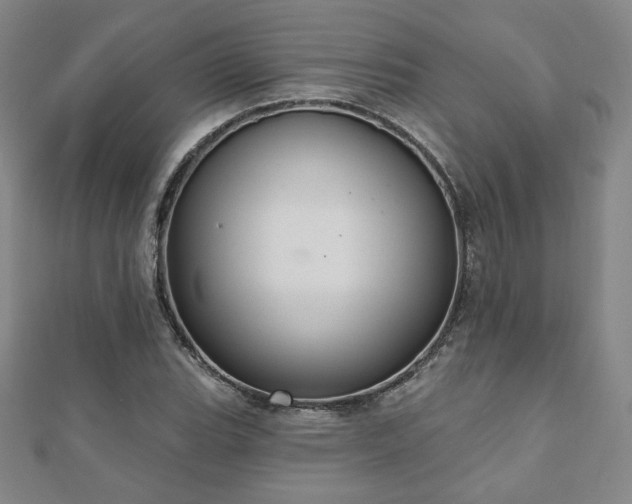 X0000110861119200906181136