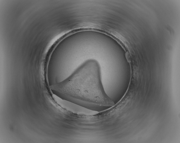 X0000110861120200906181136