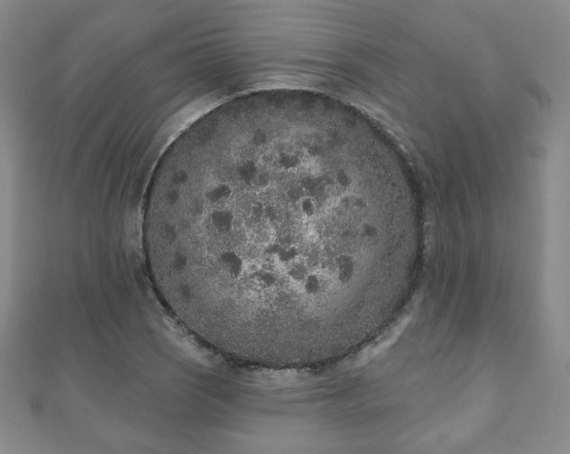 X0000110861121200906181136