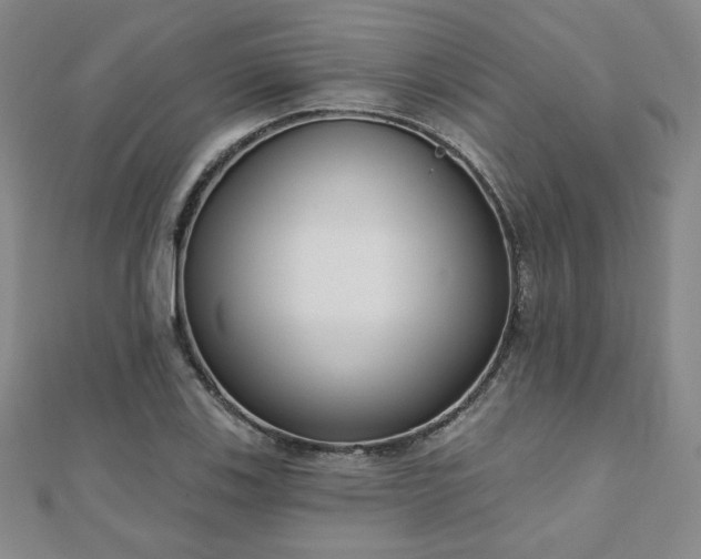 X0000110861123200906181136