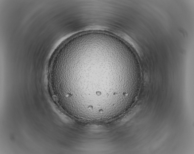 X0000110861124200906181136