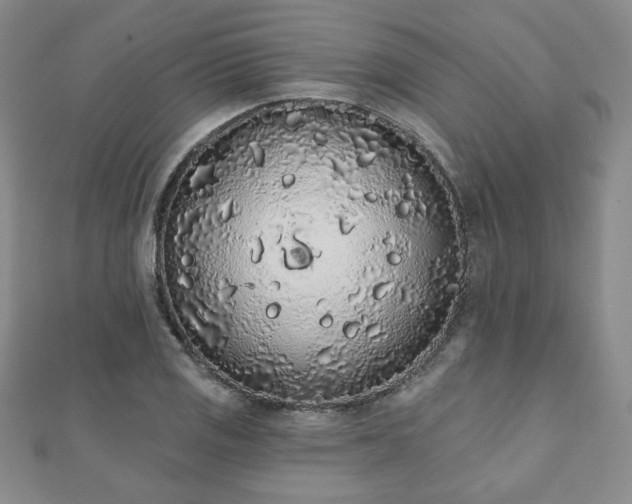 X0000110861125200906181136