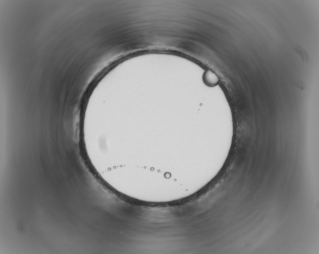 X0000110861126200906181136
