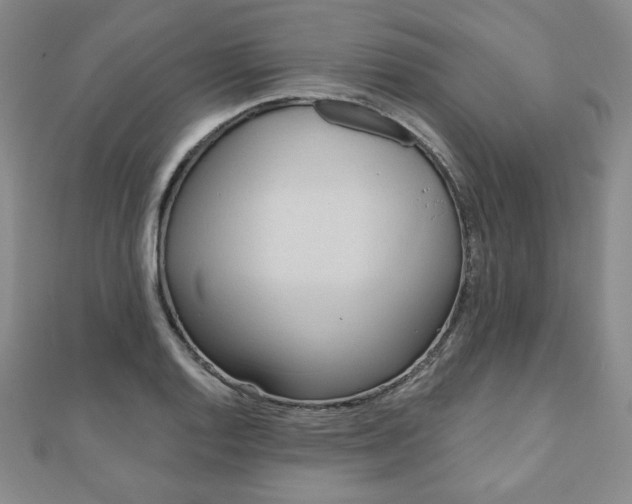 X0000110861128200906181136
