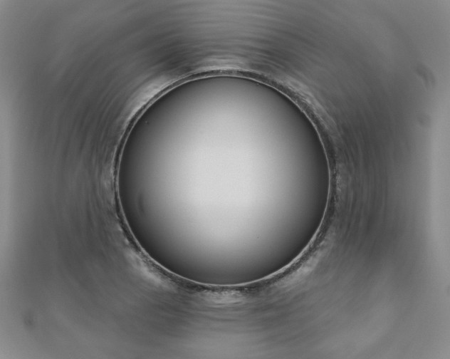 X0000110861129200906181136