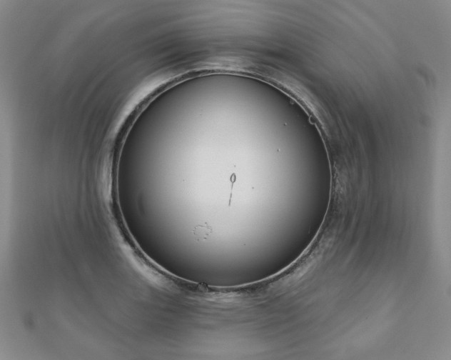 X0000110861131200906181136
