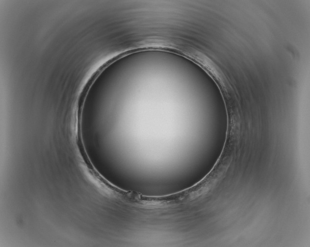 X0000110861132200906181136