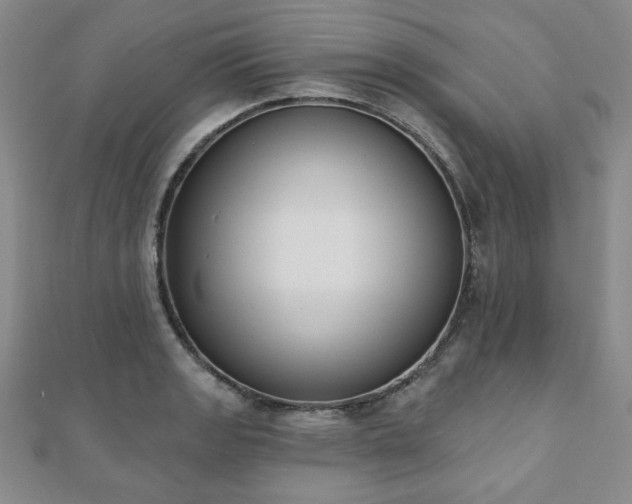 X0000110861133200906181136