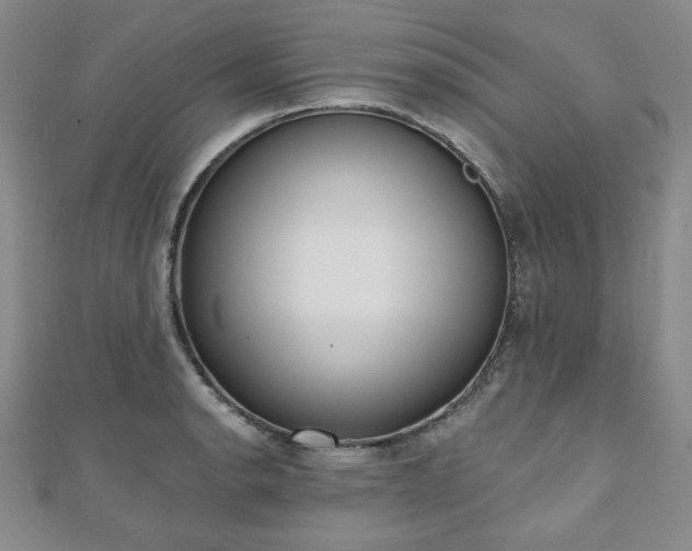 X0000110861134200906181136