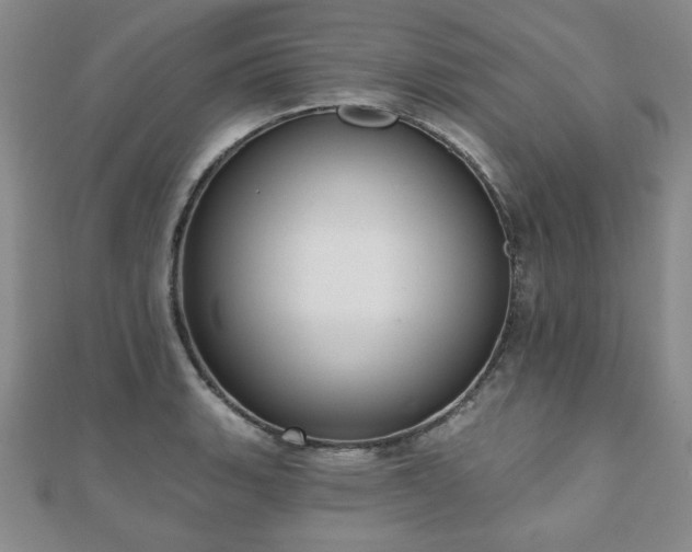 X0000110861135200906181136