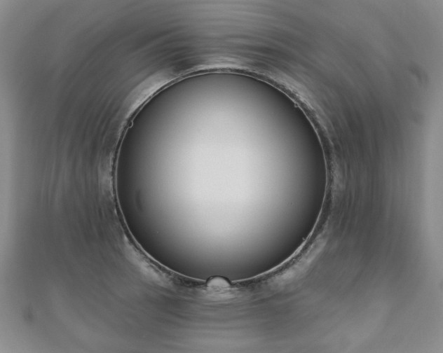 X0000110861137200906181136
