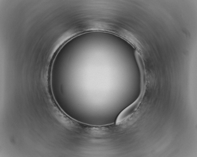 X0000110861138200906181136