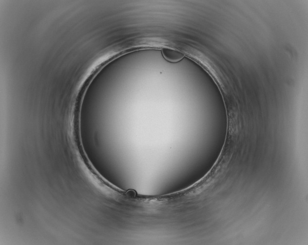 X0000110861139200906181136