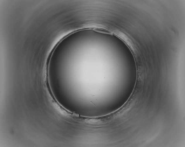 X0000110861140200906181136