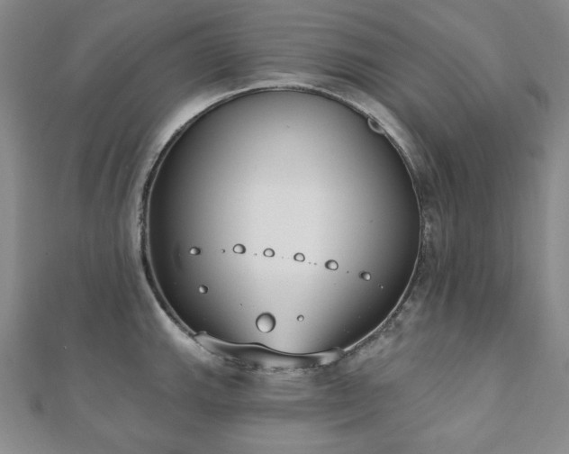 X0000110861143200906181136