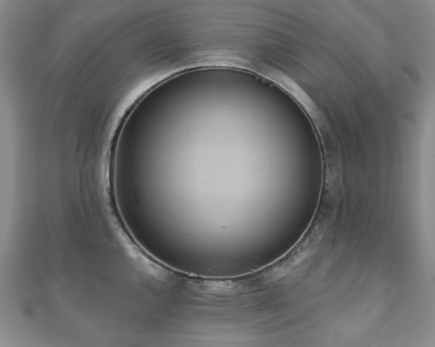 X0000110861144200906181136