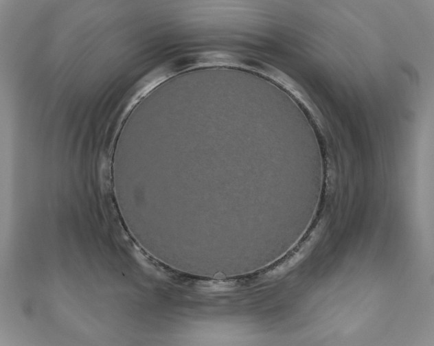 X0000110861145200906181136