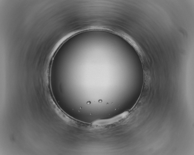 X0000110861148200906181136