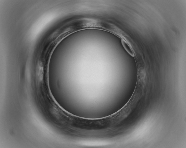 X0000110861151200906181136