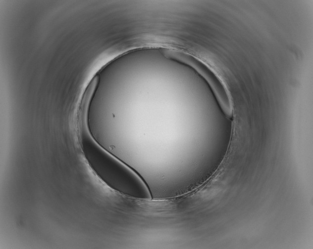 X0000110861152200906181136